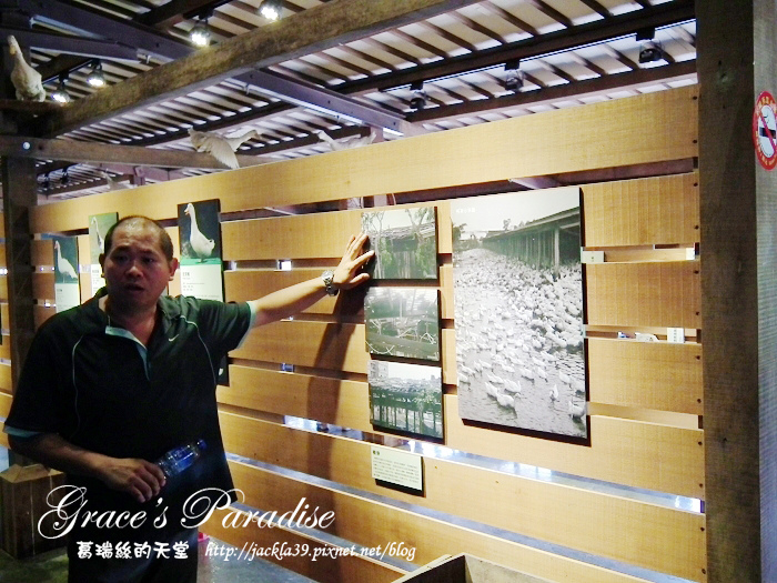 DSCF0047_nEO_IMG.jpg DSCF0047_nEO_IMG.jpg