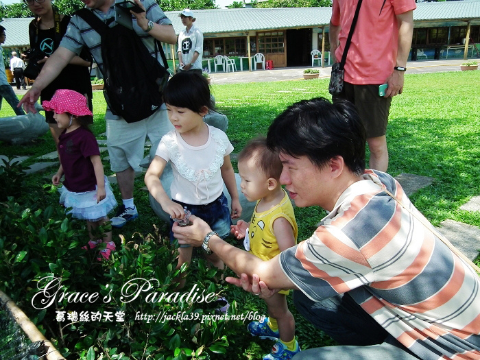 DSCF0080_nEO_IMG.jpg DSCF0080_nEO_IMG.jpg