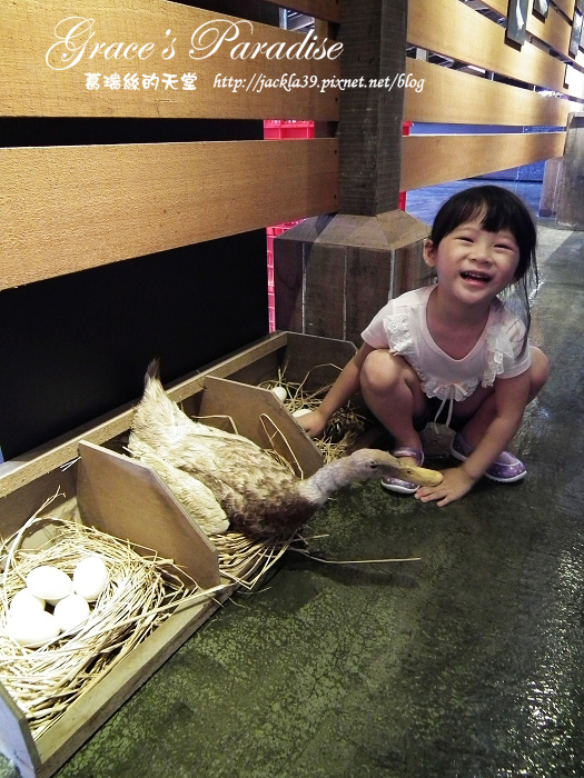 DSCF0056_nEO_IMG.jpg DSCF0056_nEO_IMG.jpg