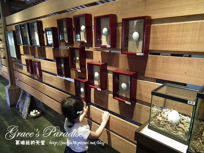 DSCF0059_nEO_IMG.jpg DSCF0059_nEO_IMG.jpg