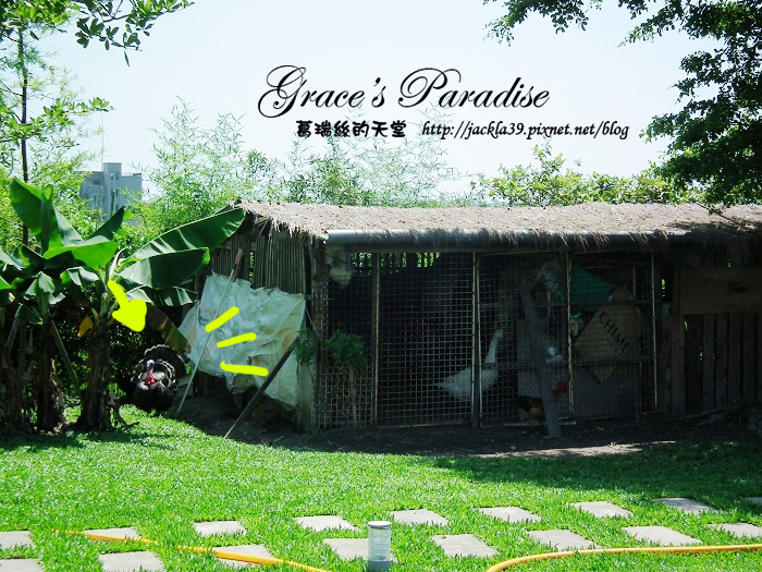 DSCF0084_nEO_IMG.jpg DSCF0084_nEO_IMG.jpg