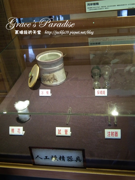 DSCF0065_nEO_IMG.jpg DSCF0065_nEO_IMG.jpg