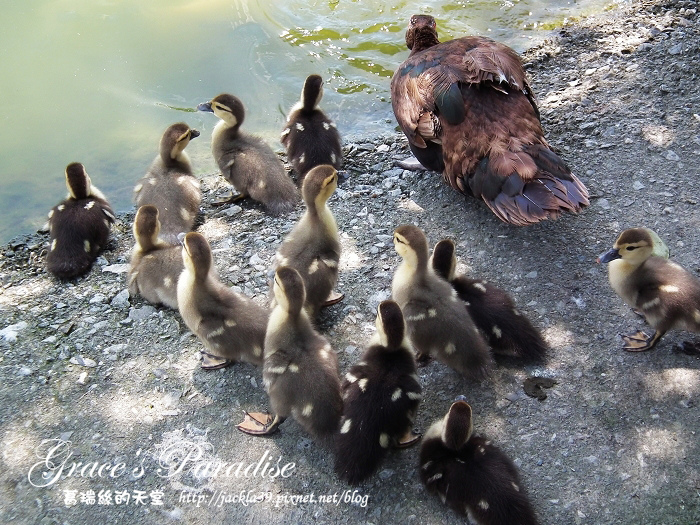 DSCF0076_nEO_IMG.jpg DSCF0076_nEO_IMG.jpg