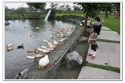 《幸福親子行》宜蘭。鴨寮故事館~鴨賞披薩、鹹蛋DIY