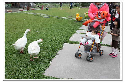 《幸福親子行》宜蘭。鴨寮故事館~鴨賞披薩、鹹蛋DIY