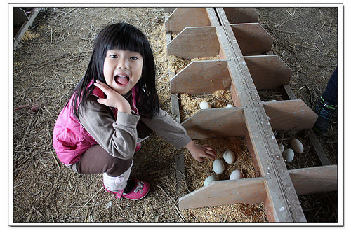 《幸福親子行》宜蘭。鴨寮故事館~鴨賞披薩、鹹蛋DIY