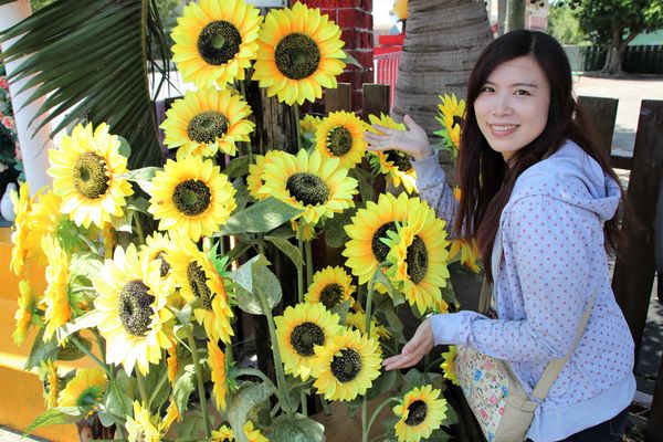 桃園龍貓公車站：【桃園觀音景點】和美幼稚園旁龍貓~和豆豆龍陪你一起搭巴士/糖果屋城堡-彩繪浮球好吸睛