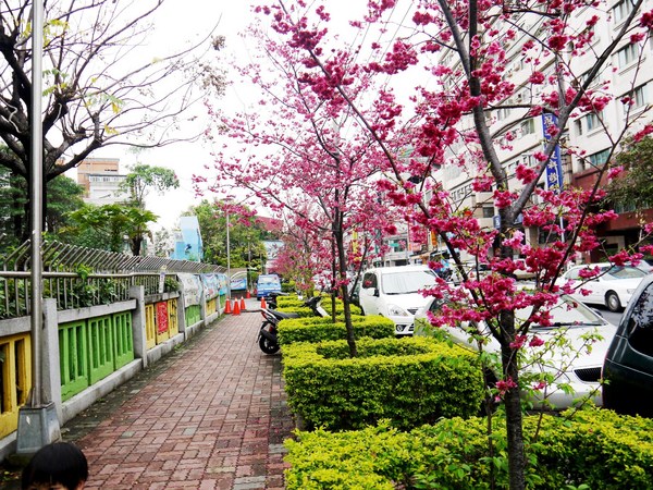 剛好冰果室：[台中北屯區]剛好冰果室，冰品搭配，恰如其名的剛好!剛好旁邊就是文昌國小，剛好賞個花...