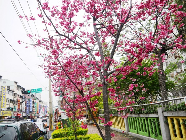 剛好冰果室：[台中北屯區]剛好冰果室，冰品搭配，恰如其名的剛好!剛好旁邊就是文昌國小，剛好賞個花...