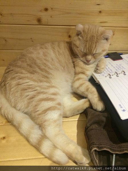 S__11493399.jpg S__11493399.jpg