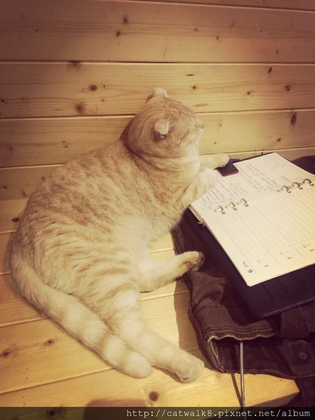 S__11493397.jpg S__11493397.jpg