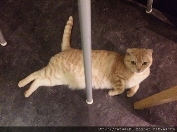 S__11493385.jpg S__11493385.jpg