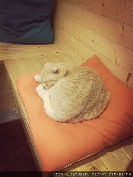 S__11493392.jpg S__11493392.jpg