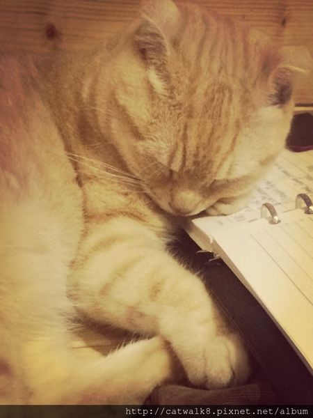 S__11493398.jpg S__11493398.jpg