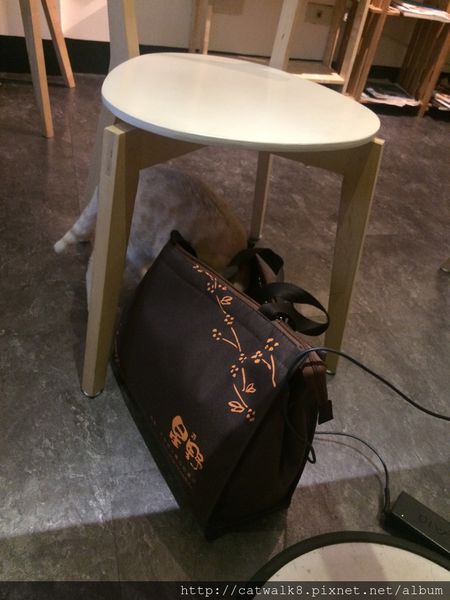 S__11493395.jpg S__11493395.jpg