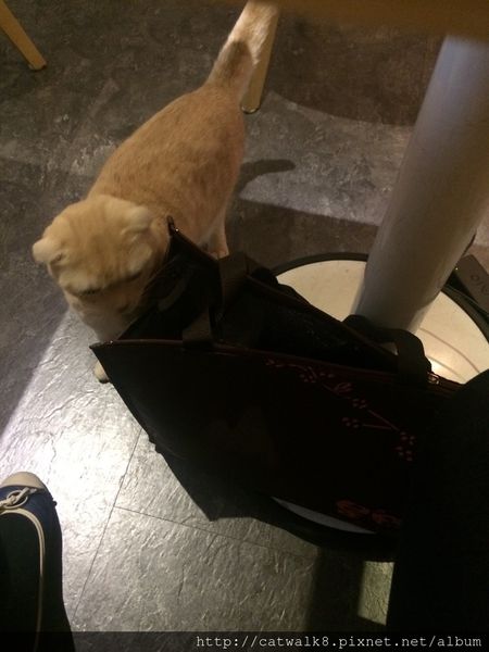 S__11493394.jpg S__11493394.jpg