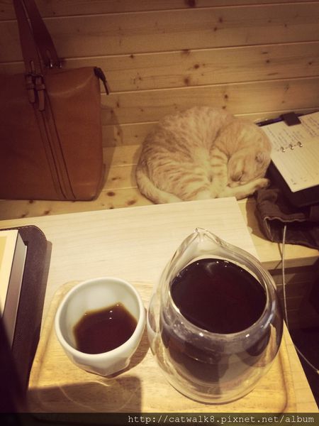 S__11493396.jpg S__11493396.jpg