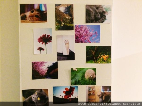 S__11493384.jpg S__11493384.jpg