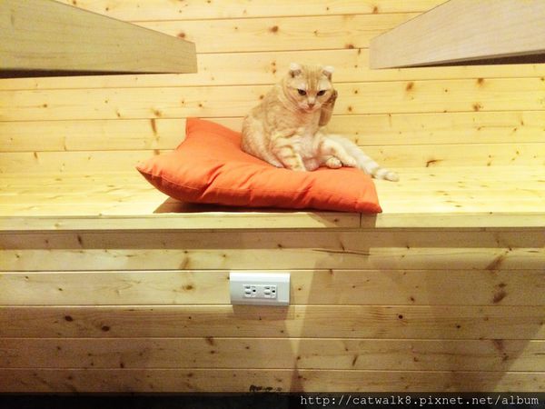 S__11493389.jpg S__11493389.jpg