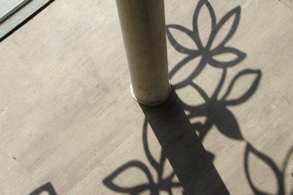 cm20170113___68cd177cf882562fec28172354d