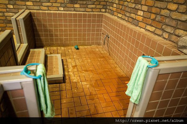 [吃喝]大樹站 MR TREE STATION～學齡前親子餐廳。