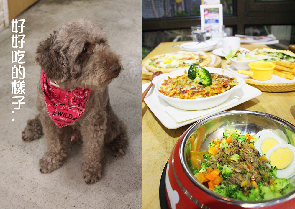 食記◎--【公館 台大】Piglet friendly cafe 彼克蕾友善咖啡館。以豬為主題的台北友善寵物餐廳/歡迎毛小孩