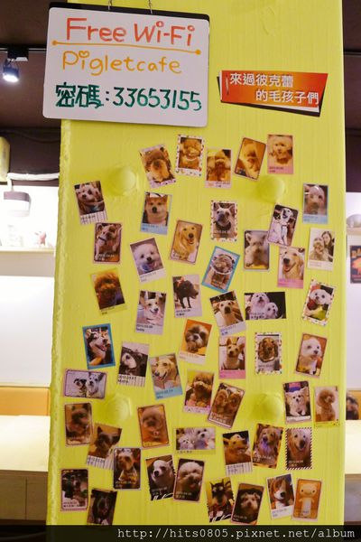 Piglet friendly cafe 彼克蕾友善咖啡館：口碑64-Piglet friendly cafe 彼克蕾友善咖啡館