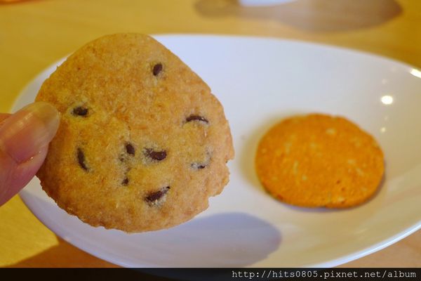 Piglet friendly cafe 彼克蕾友善咖啡館：口碑64-Piglet friendly cafe 彼克蕾友善咖啡館