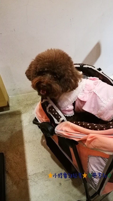 IMG_20161126_114720.jpg IMG_20161126_114720.jpg