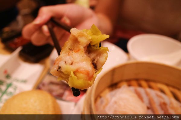 IMG_0956.JPG IMG_0956.JPG