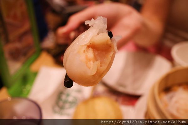 IMG_0955.JPG IMG_0955.JPG