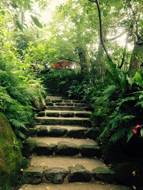 [台中] 又見一炊煙~彷彿在日本~~