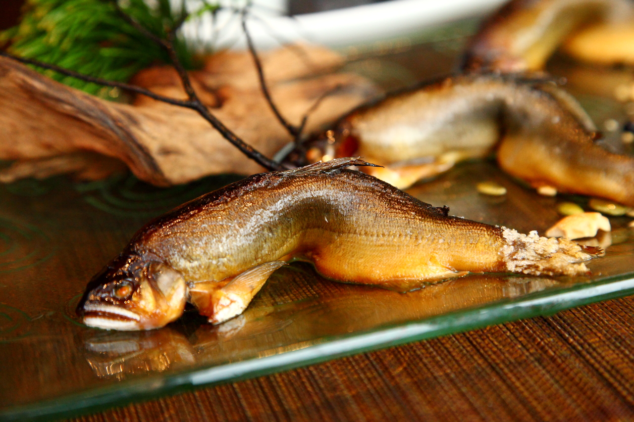 松園禪林-原心 陽明山