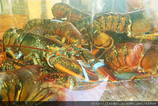 IMG_5188.JPG IMG_5188.JPG