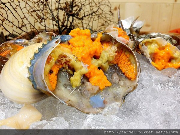 Fotor_145381083524997.jpg Fotor_145381083524997.jpg