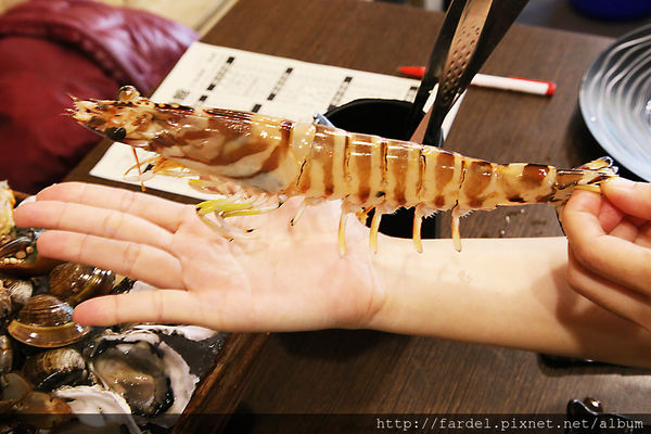 IMG_5223.JPG IMG_5223.JPG