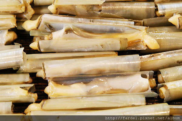 IMG_5196.JPG IMG_5196.JPG