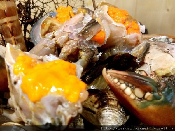 Fotor_145381378433872.jpg Fotor_145381378433872.jpg