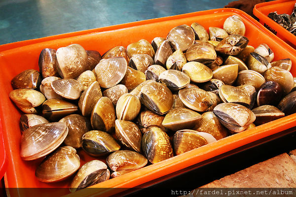 IMG_5198.JPG IMG_5198.JPG