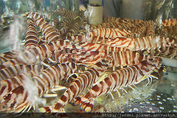 IMG_5186.JPG IMG_5186.JPG