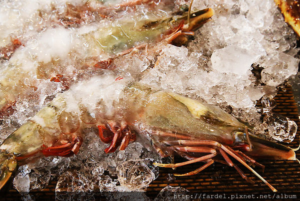 IMG_5192.JPG IMG_5192.JPG