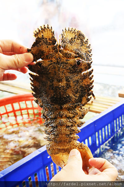 IMG_5185.JPG IMG_5185.JPG