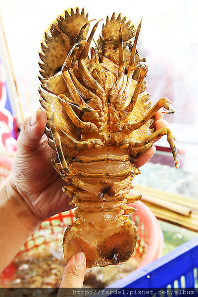 IMG_5184.JPG IMG_5184.JPG