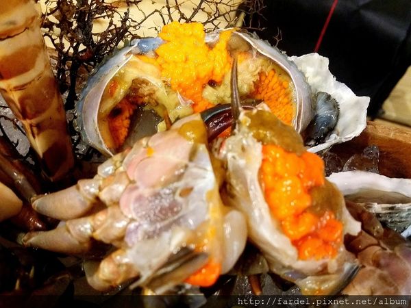 Fotor_145381365202112.jpg Fotor_145381365202112.jpg