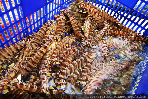 IMG_5183.JPG IMG_5183.JPG