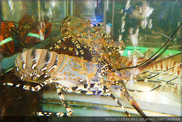 IMG_5181.JPG IMG_5181.JPG