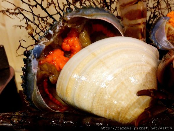 Fotor_145381385787360.jpg Fotor_145381385787360.jpg