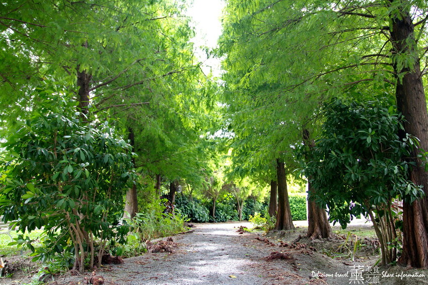 探索迷宮/薰的美食之旅/彰化景點 探索迷宮/薰的美食之旅/彰化景點