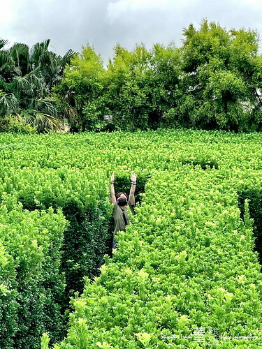 探索迷宮/薰的美食之旅/彰化景點 探索迷宮/薰的美食之旅/彰化景點