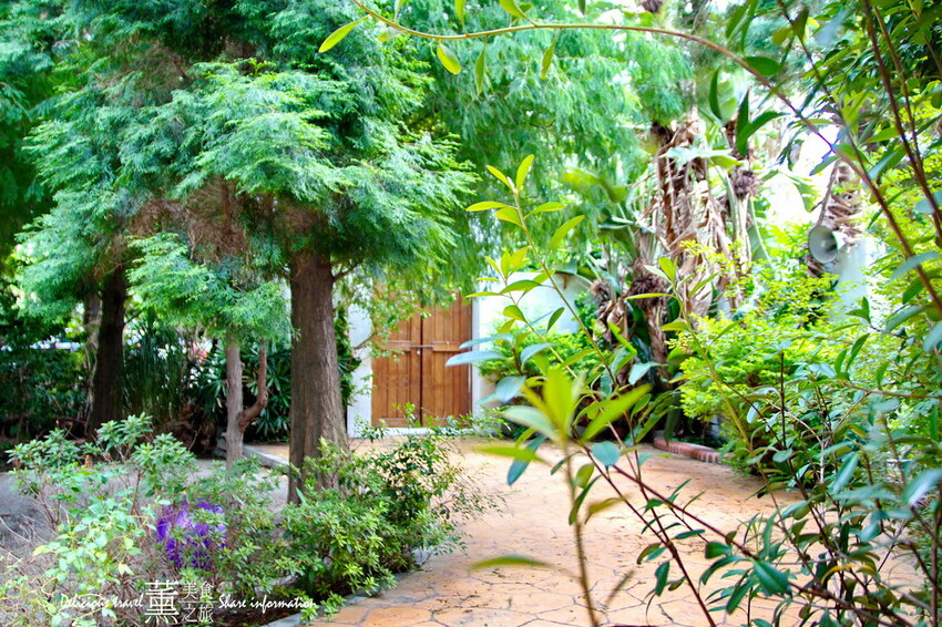 探索迷宮/薰的美食之旅/彰化景點 探索迷宮/薰的美食之旅/彰化景點